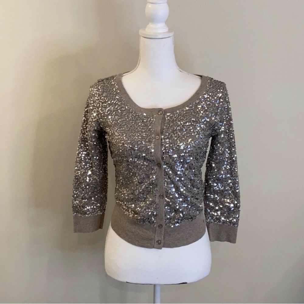 American Eagle Outfitters Sequin Sweater